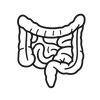 Mejorar tu salud intestinal